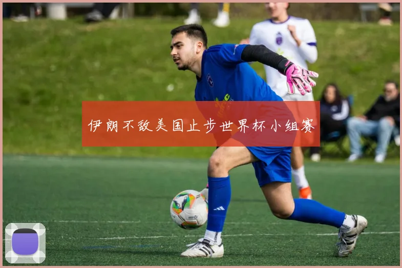 伊朗不敌美国止步世界杯小组赛