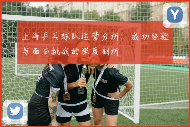 上海乒乓球队运营分析：成功经验与面临挑战的深度剖析