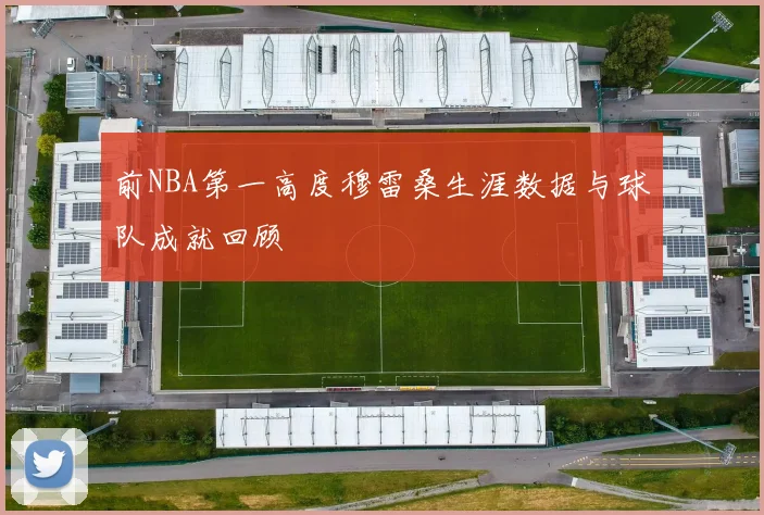 前NBA第一高度穆雷桑生涯数据与球队成就回顾