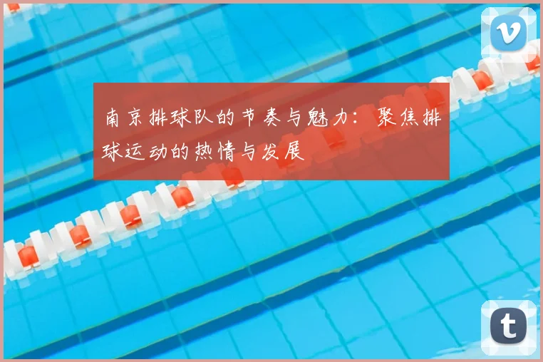 南京排球队的节奏与魅力：聚焦排球运动的热情与发展