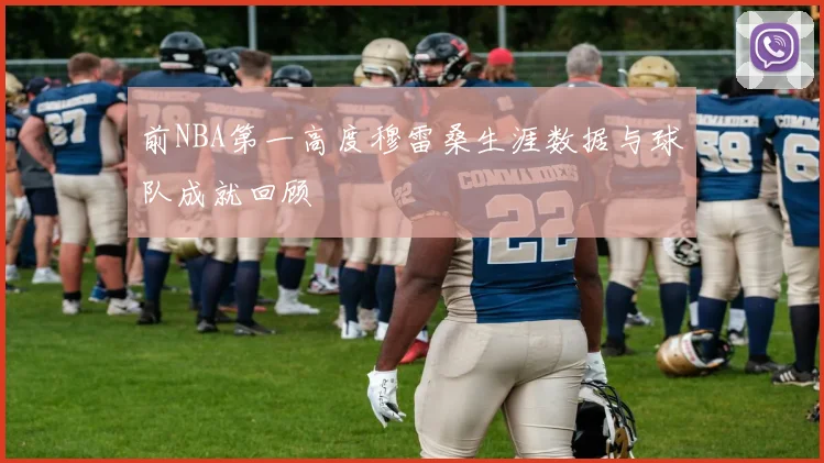 前NBA第一高度穆雷桑生涯数据与球队成就回顾