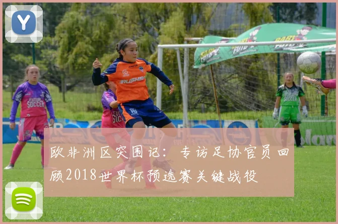 欧非洲区突围记：专访足协官员回顾2018世界杯预选赛关键战役
