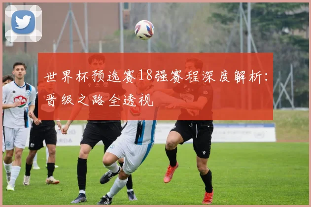 世界杯预选赛18强赛程深度解析：晋级之路全透视